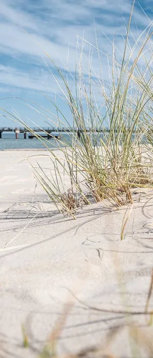 Feiner Sandstrand mit Gräsern und Blick auf eine Seebrücke an der Ostsee vor dem Vju Hotel mit zahlreichen Urlaubsangeboten.