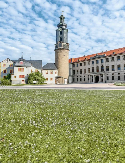 Das Stadtschloss Weimar bei sonnigem Wetter. Kleine Schäfchenwolken am Himmel und blühender Klee auf dem Rasen davor.