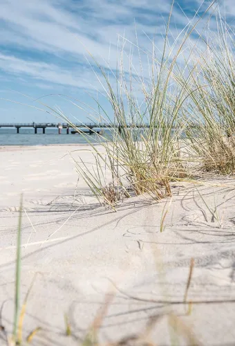 Feiner Sandstrand mit Gräsern und Blick auf eine Seebrücke an der Ostsee vor dem Vju Hotel mit zahlreichen Urlaubsangeboten.