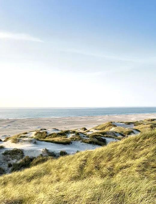 Weite Dünenlandschaft auf Sylt mit Blick auf die Nordsee bei klarem Himmel und sanftem Wellengang.