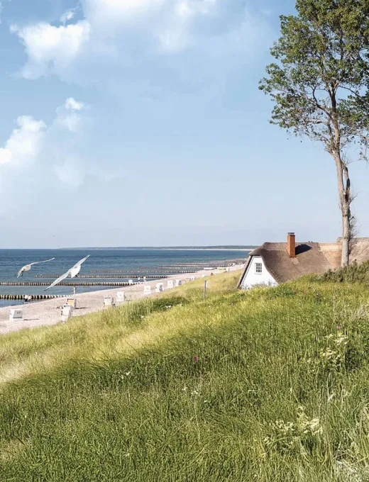 Reetdachhaus in Ahrenshoop umgeben von Dünen und Gräsern, idyllische Lage in der Natur.