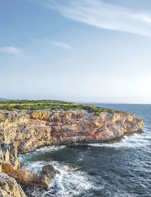 Küstenlandschaft auf Mallorca mit steilen Felsen und ruhigem Meer, umgeben von üppiger Natur.