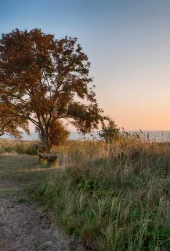 Herbstliche Landschaft an der Ostsee in der Abenddämmerung im Herbsturlaub im Hotel SEEZEICHEN.