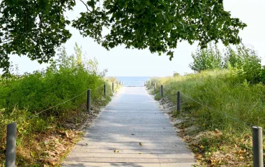 Ein Holzsteg auf Usedom, der durch grüne Dünen und schattenspendenden Bäumen zum Meer führt.